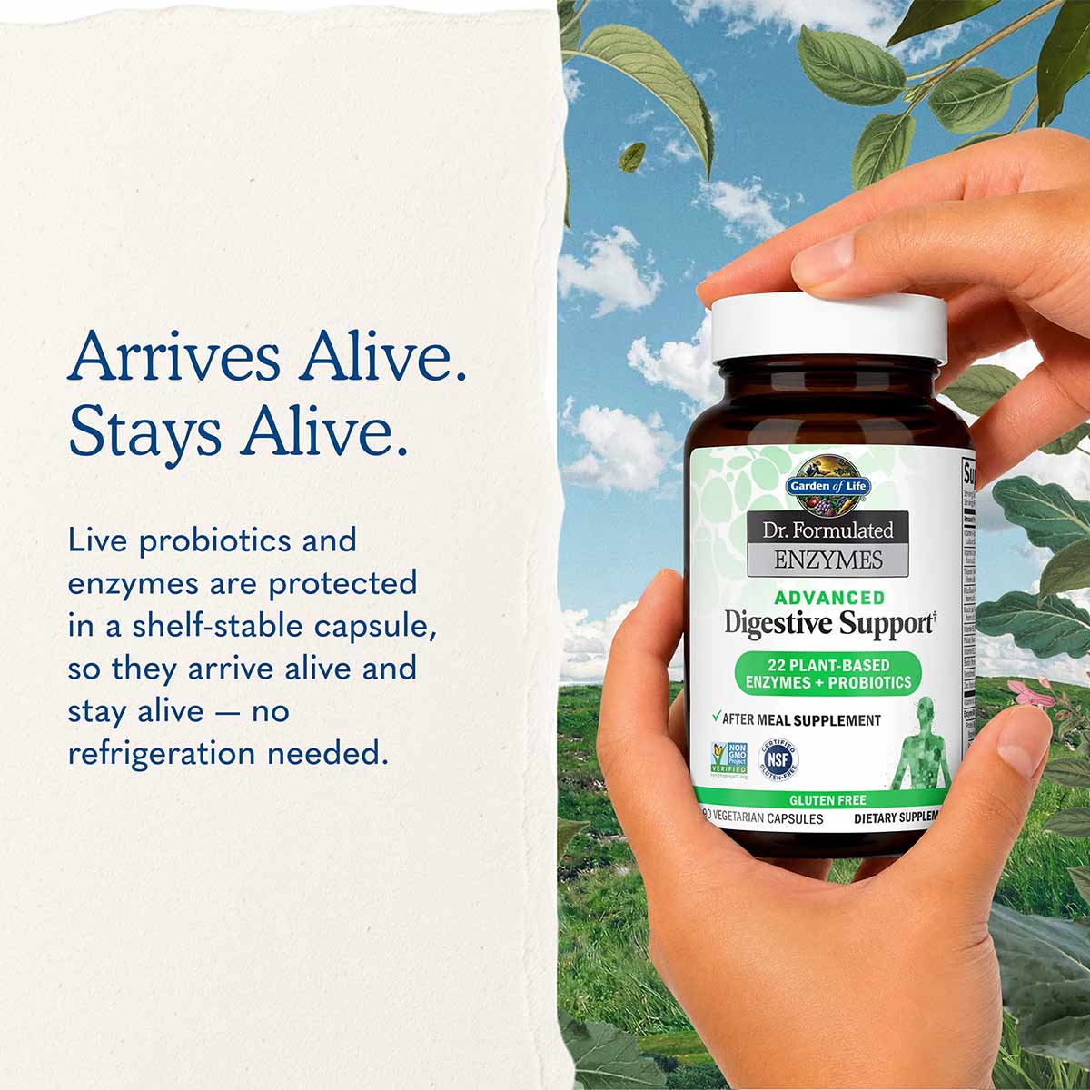Two hands hold an amber supplement bottle with a green label against a sky, leaves, and meadow backdrop beside text about shelf-stable capsules.