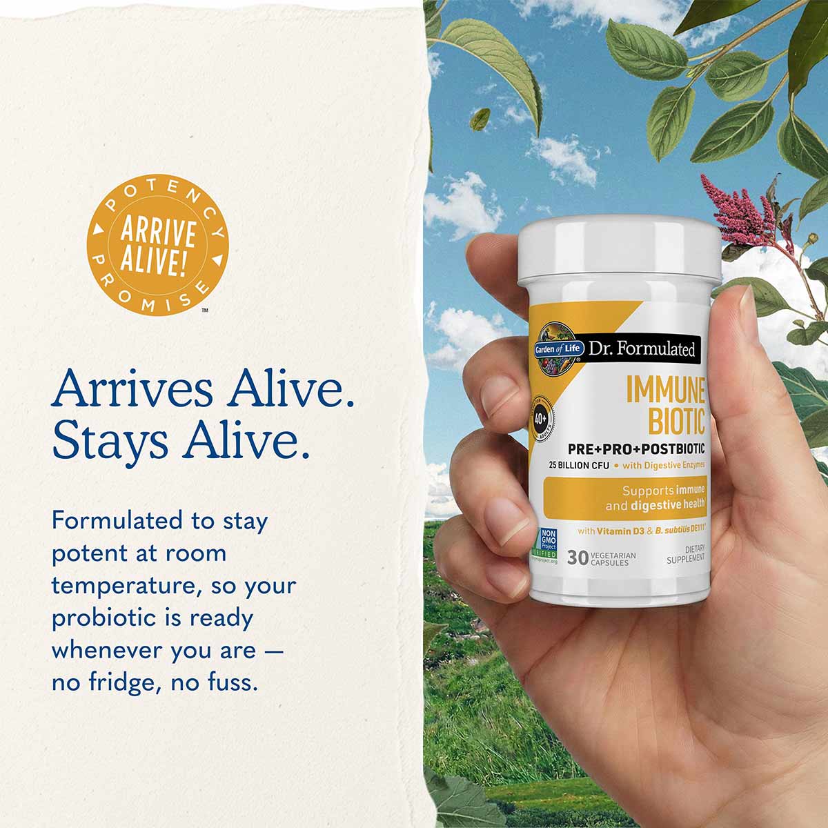 White bottle of Dr. Formulated Immune Biotic supplement held in hand against outdoor background with sky and plants.