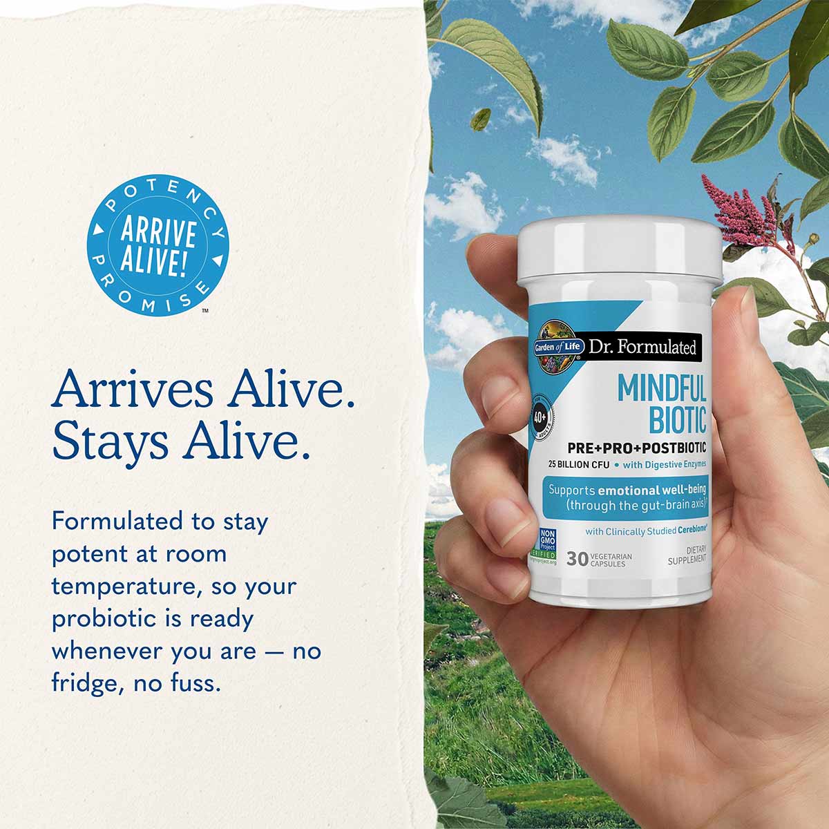 White bottle labeled "Dr. Formulated Mindful Biotic" held in hand against nature background with blue sky and foliage.