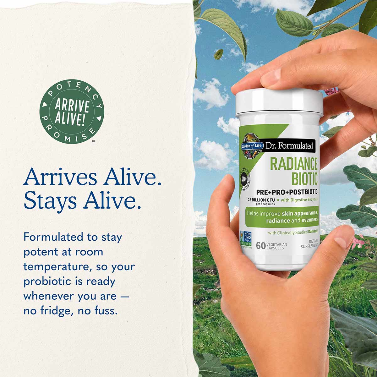 Hand holding white and green Dr. Formulated Radiance Biotic supplement bottle with 60 vegetarian capsules against outdoor bac