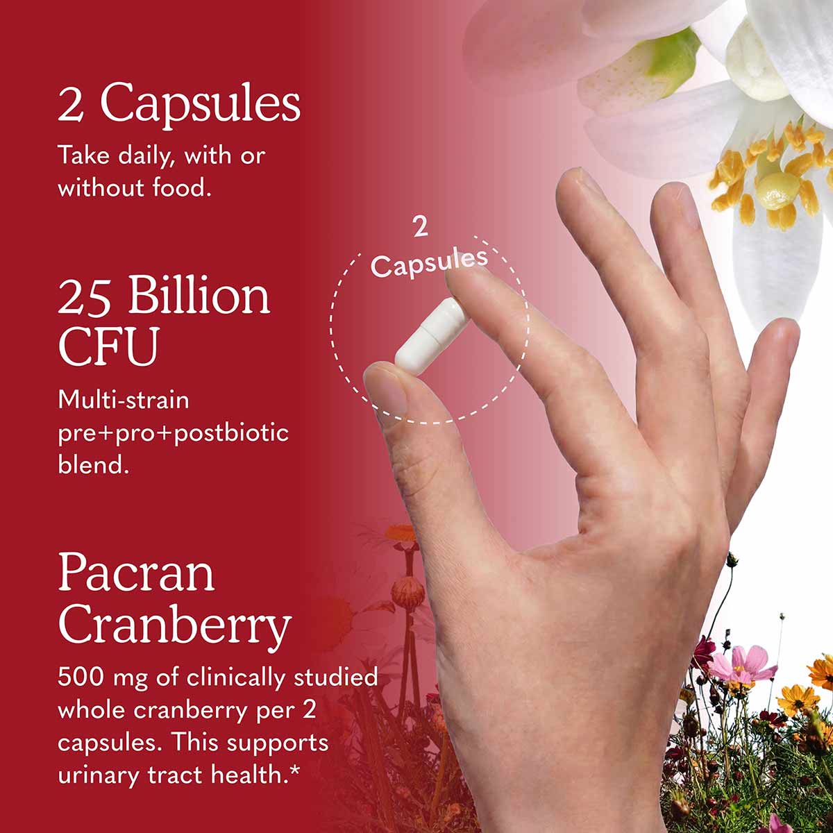 Hand holding two white capsules with text describing 25 billion CFU probiotic blend and Pacran cranberry supplement details o