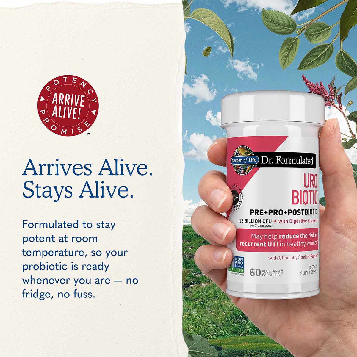 White bottle of Dr. Formulated URO Biotic probiotic supplement with red and black label held in hand against outdoor backgrou