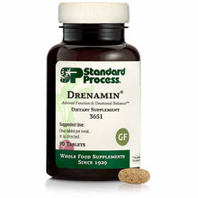 Drenamin, 90 Tablets, by Standard Process