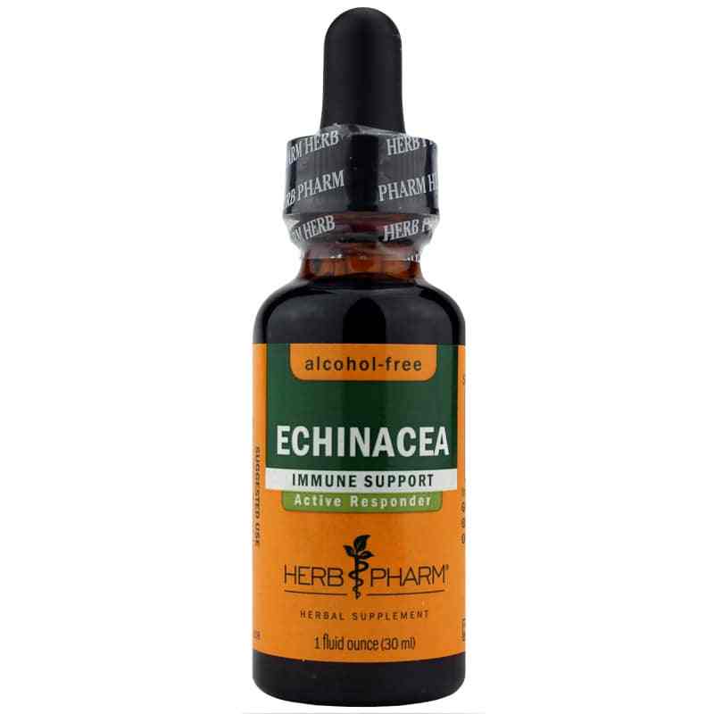 Echinacea Extract Alcohol Free, 1 Oz, by Herb Pharm
