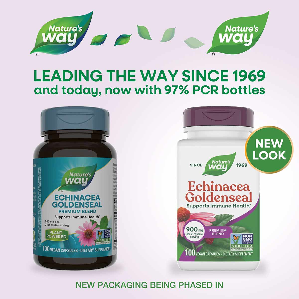 Two bottles of Nature's Way Echinacea Goldenseal Premium Blend dietary supplement with blue and white labels showing 100 vega