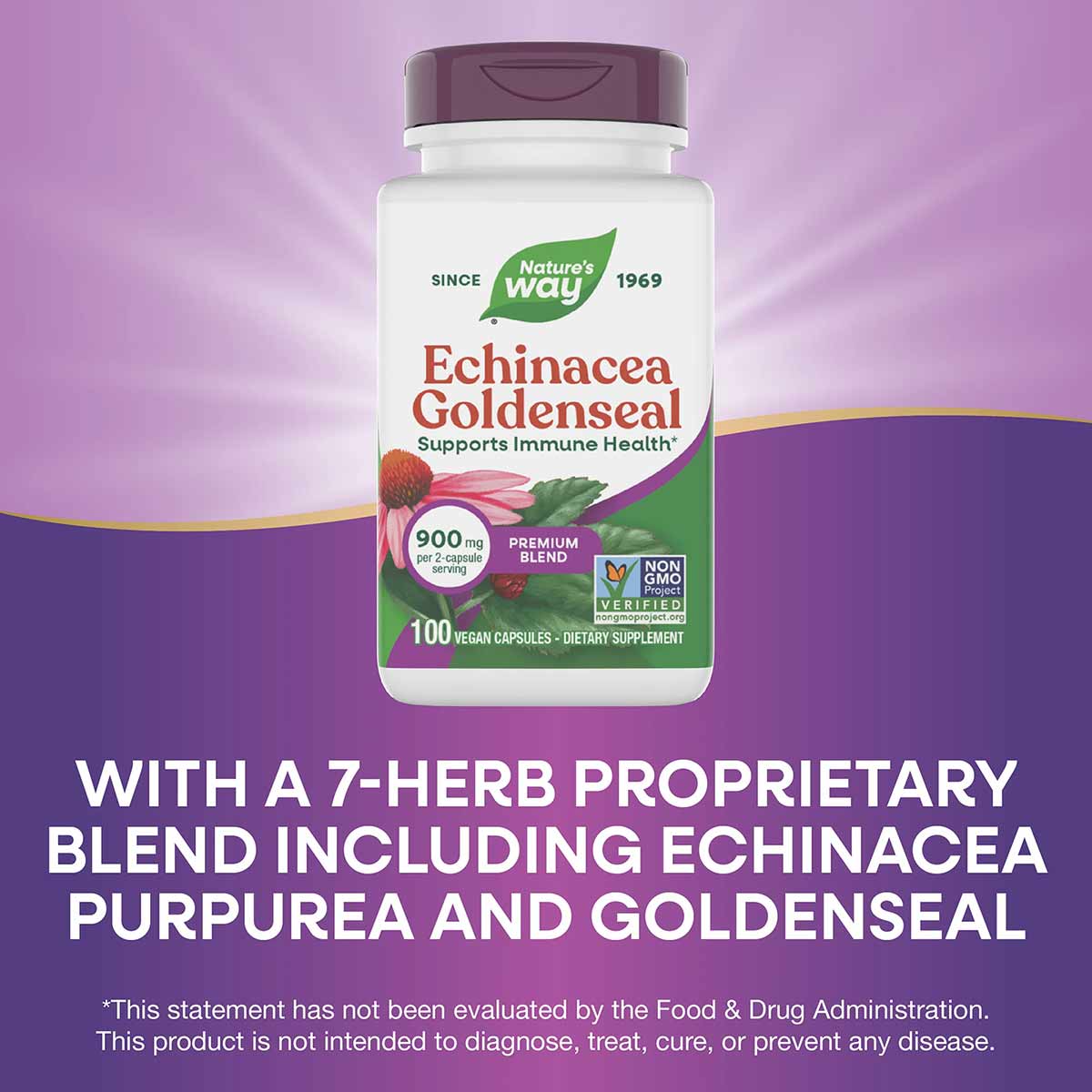 Nature's Way Echinacea Goldenseal bottle with purple cap, 100 vegan capsules, non-GMO verified, on purple background.
