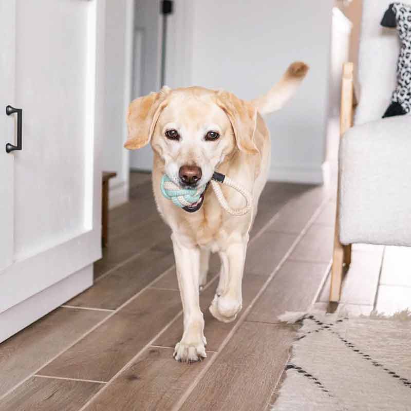 ecoZippy Cotton & Jute Ball, by ZippyPaws, image #4