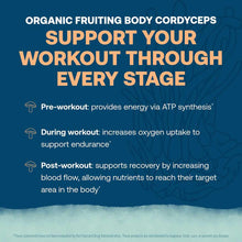White text on blue background describing ElectroMag Electrolyte Canister benefits for pre-workout, during workout, and post-w