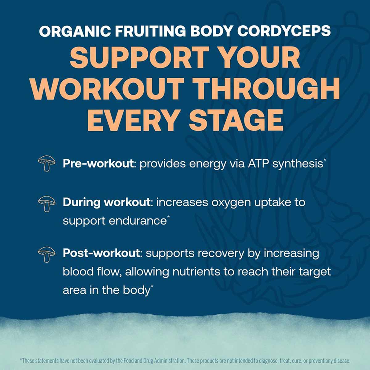 White text on blue background describing ElectroMag Electrolyte Canister benefits for pre-workout, during workout, and post-w