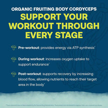 ElectroMag Electrolyte Canister by True Grace with blue background and yellow text describing workout support benefits.