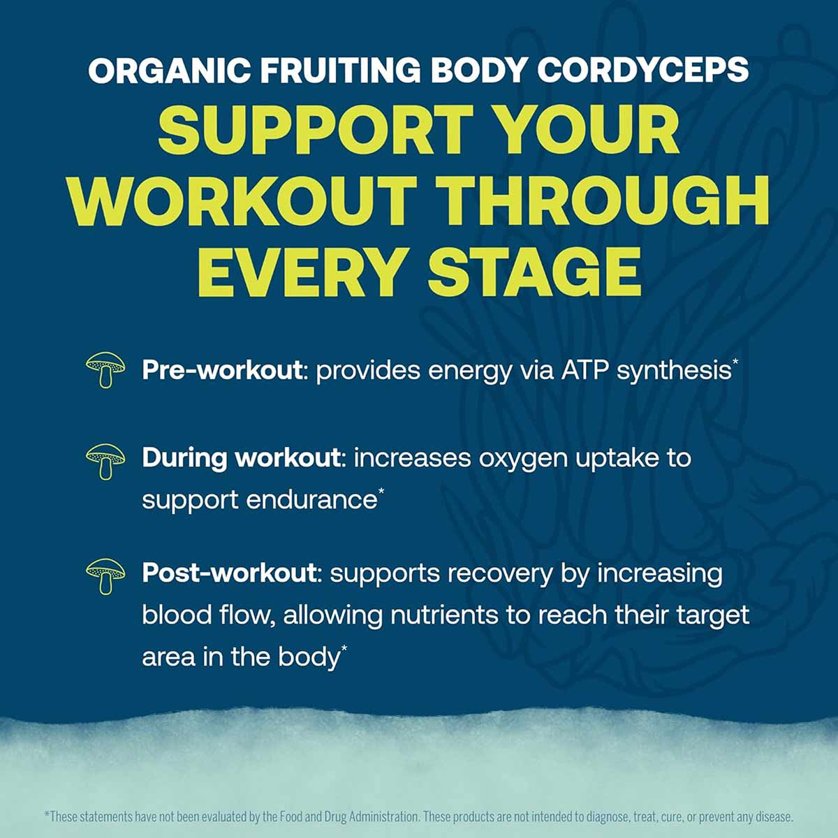 ElectroMag Electrolyte Stick, by True Grace