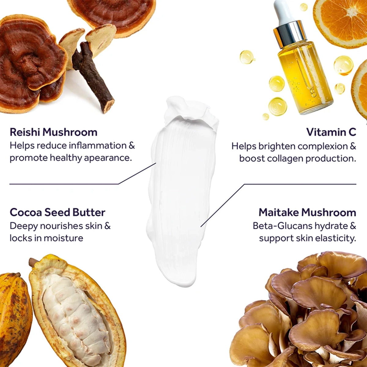 White moisturizer swatch surrounded by reishi mushroom, cocoa seed butter, vitamin C serum, and maitake mushroom with ingredi