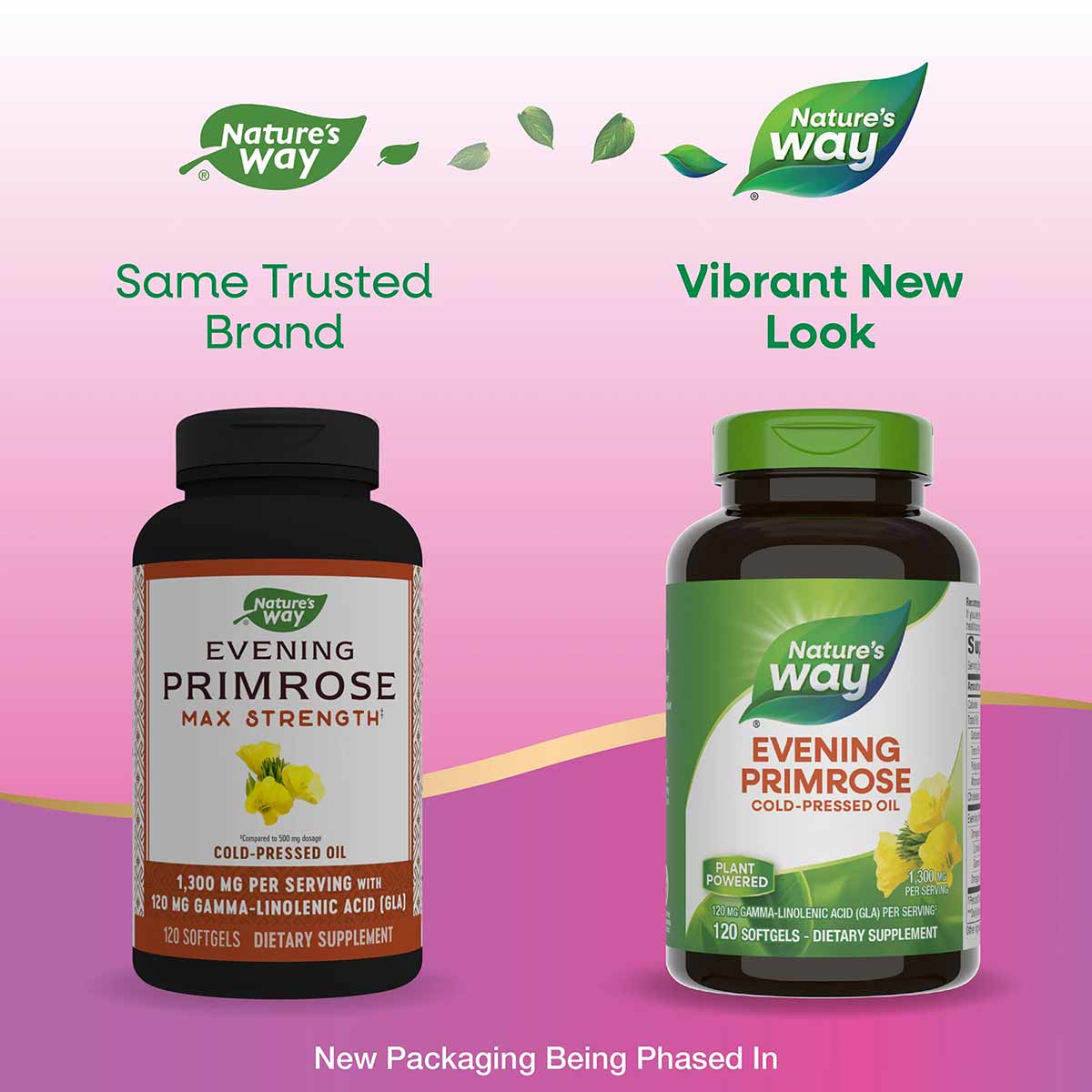 Two Nature's Way Evening Primrose supplement bottles side by side showing old black label and new green label design on pink 