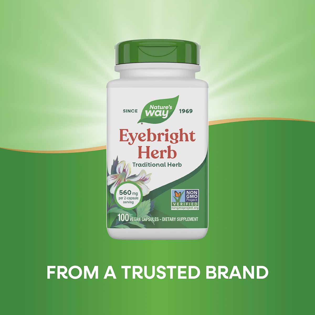 Nature's Way Eyebright Herb supplement bottle with green cap, 560mg, 100 vegan capsules, Non-GMO Project Verified.