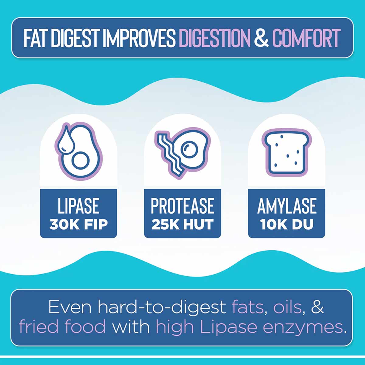Fat Digest enzyme supplement showing lipase, protease, and amylase icons with ingredient amounts on turquoise background.