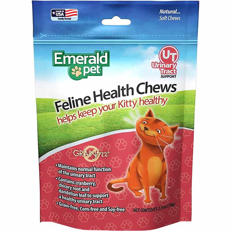 Illustration of Feline Urinary Tract Health In Humid Dog-Friendly Homes