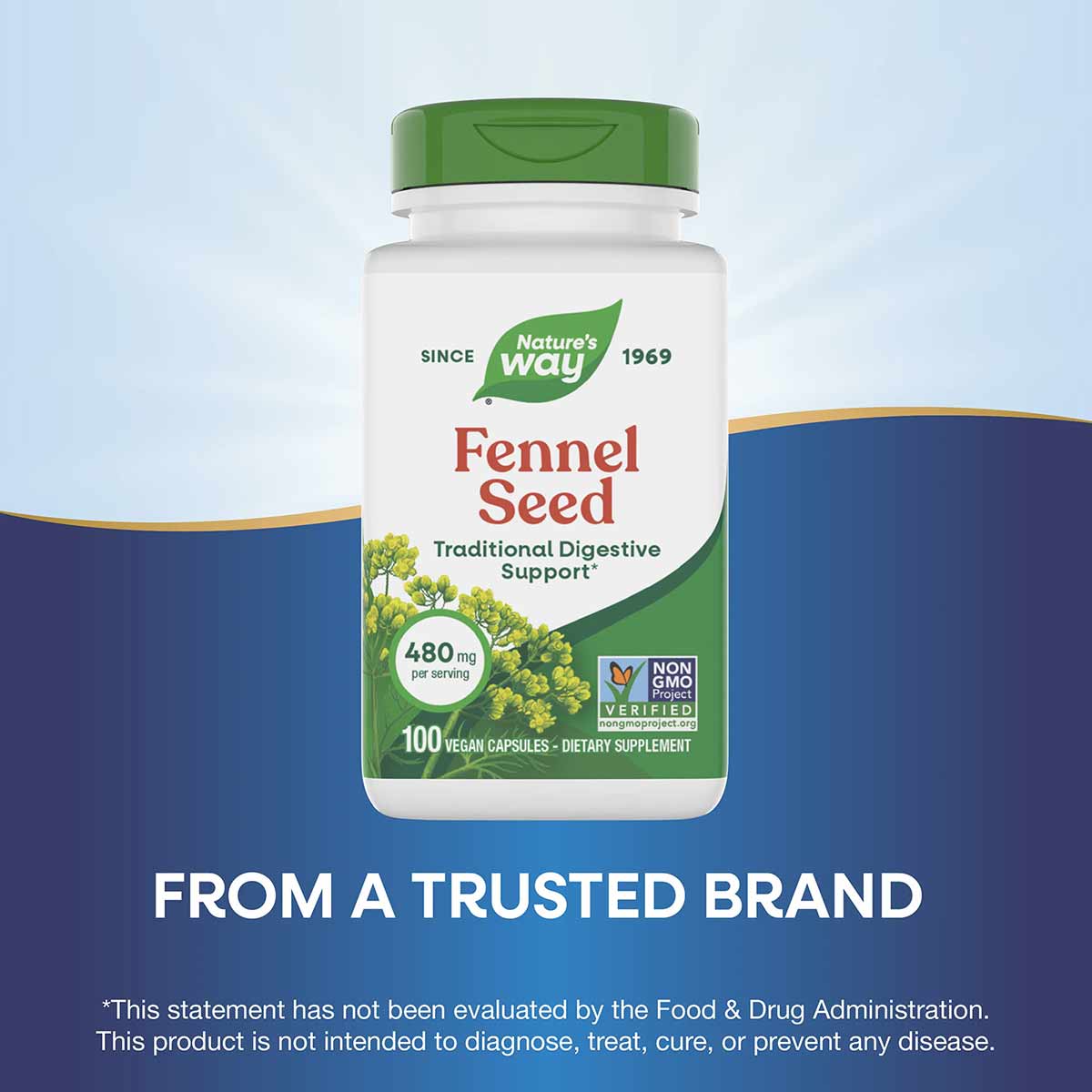 Nature's Way Fennel Seed bottle with green cap, 100 vegan capsules, 480 mg per serving, Non-GMO Project Verified.