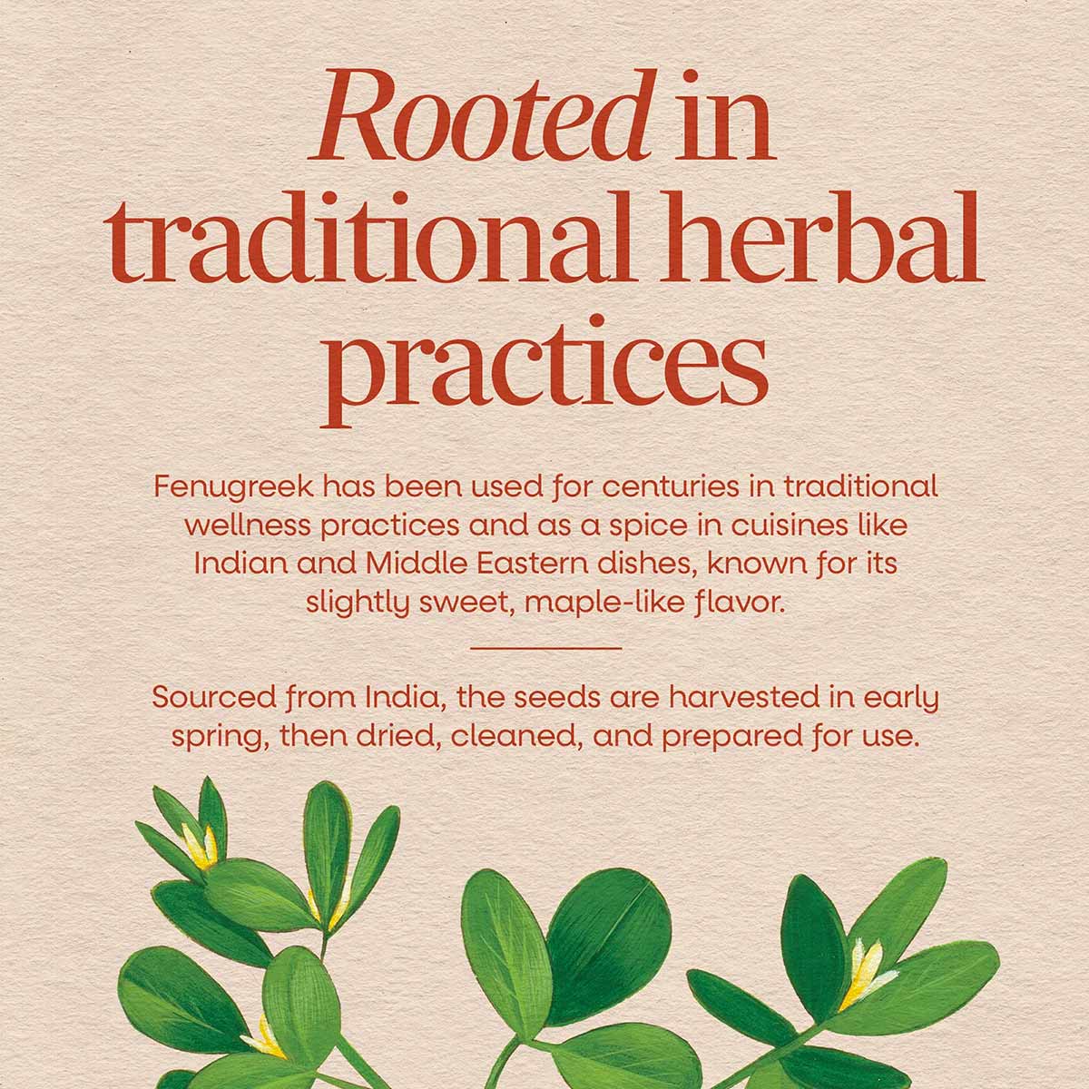 Natures Way Fenugreek Seed package with red text describing traditional herbal uses and green fenugreek plant illustrations a