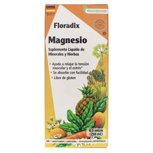 Floradix Magnesium Liquid, 8.5 Oz, by Salus, image #3