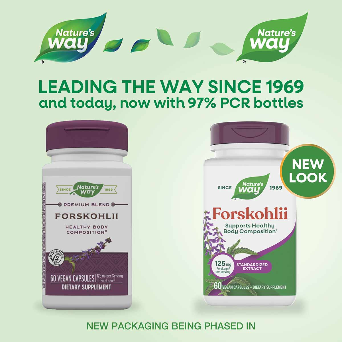Nature's Way Forskohlii supplement bottles showing old and new packaging designs with purple caps and labels.