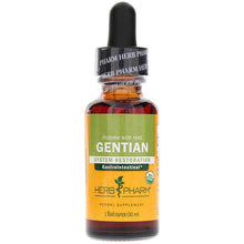 Gentian Extract, 1 Oz, by Herb Pharm