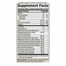 Supplement Facts label for GI Integrity chocolate flavor powder showing serving size, nutritional information, and ingredient