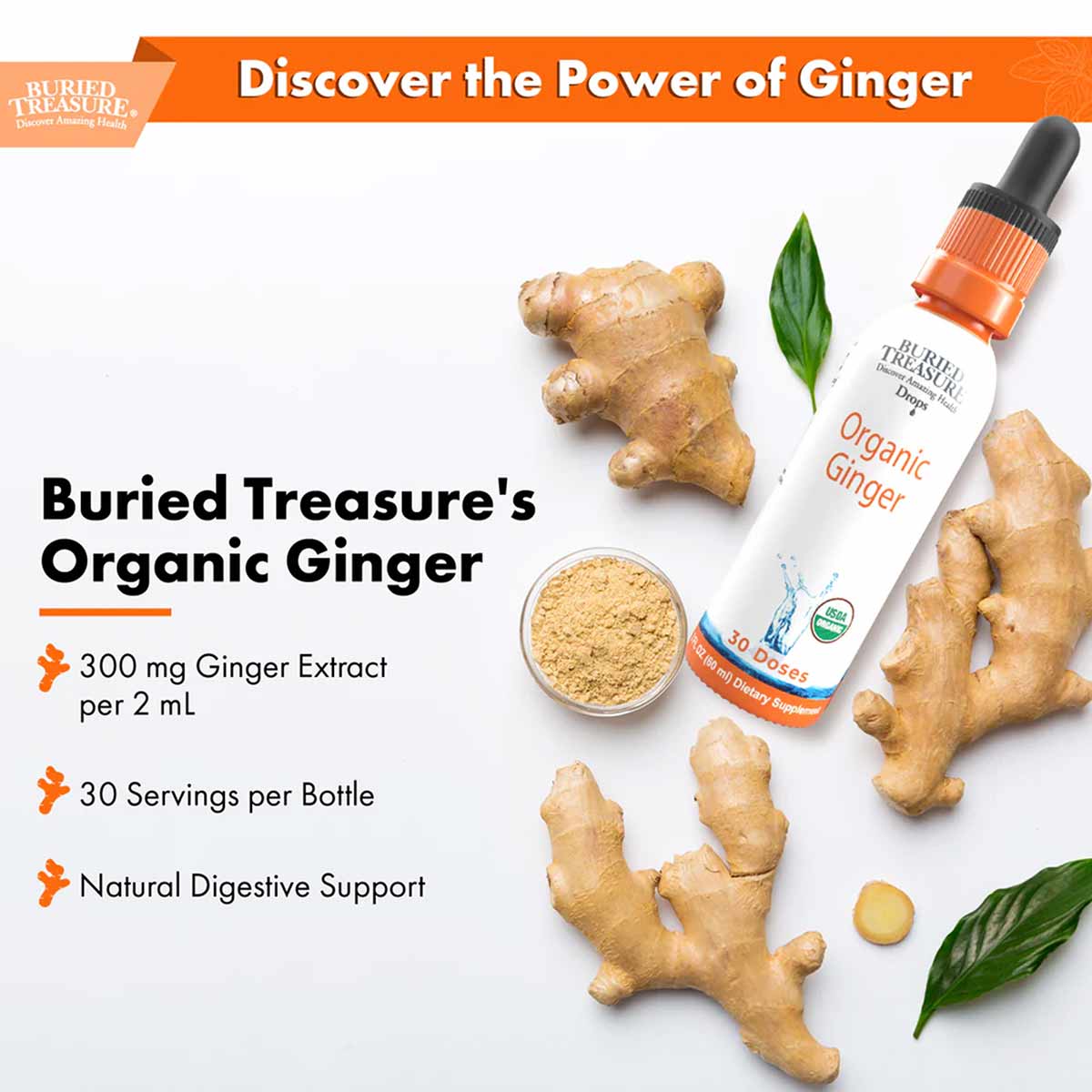 Buried Treasure Organic Ginger Extract bottle with dropper surrounded by fresh ginger root, ginger powder, and green leaves.