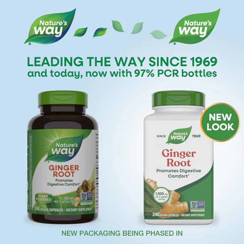 Ginger Root, 240 Veg Capsules, by Natures Way, image #4
