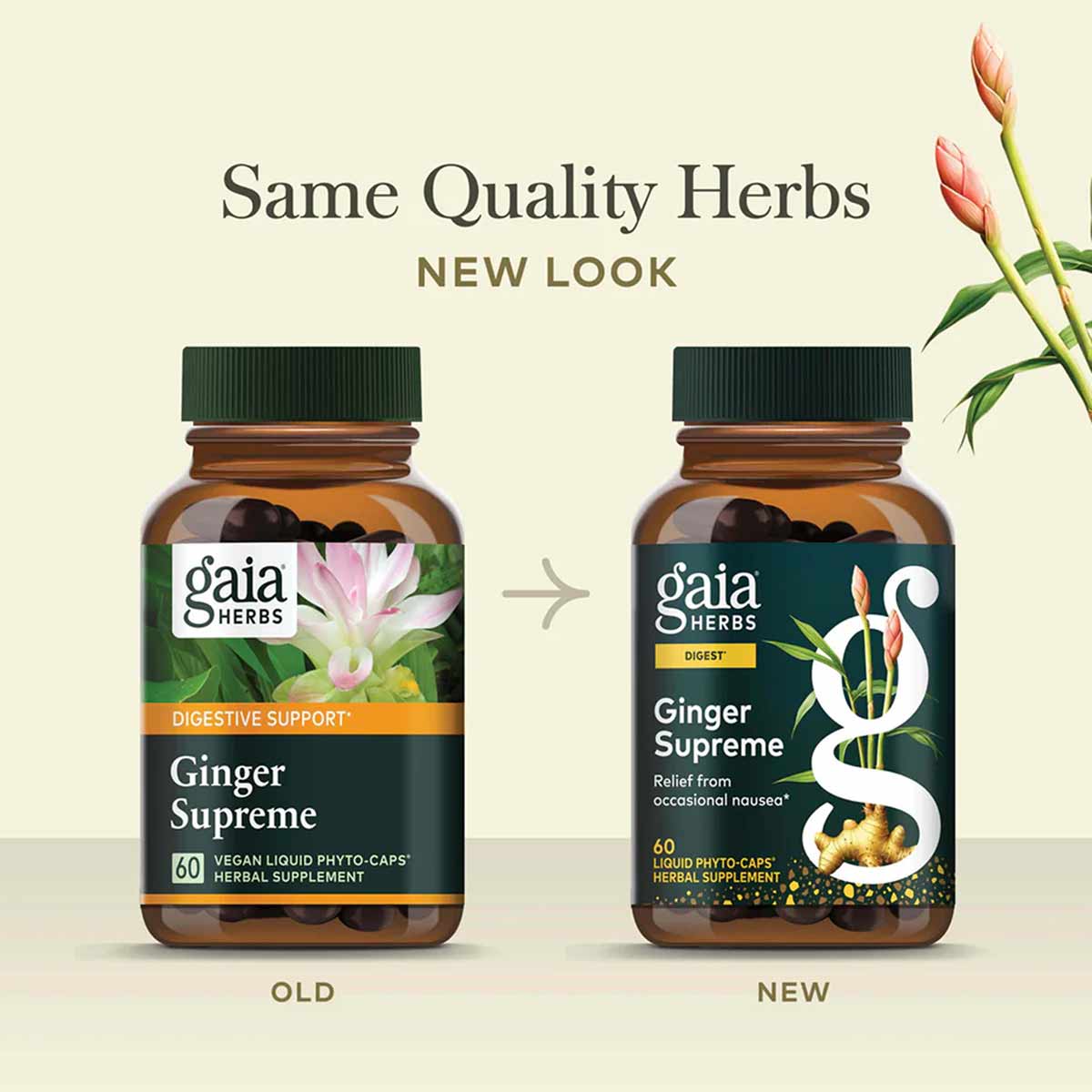 Two amber bottles of Gaia Herbs Ginger Supreme showing old and new label designs with 60 vegan liquid phyto-caps.