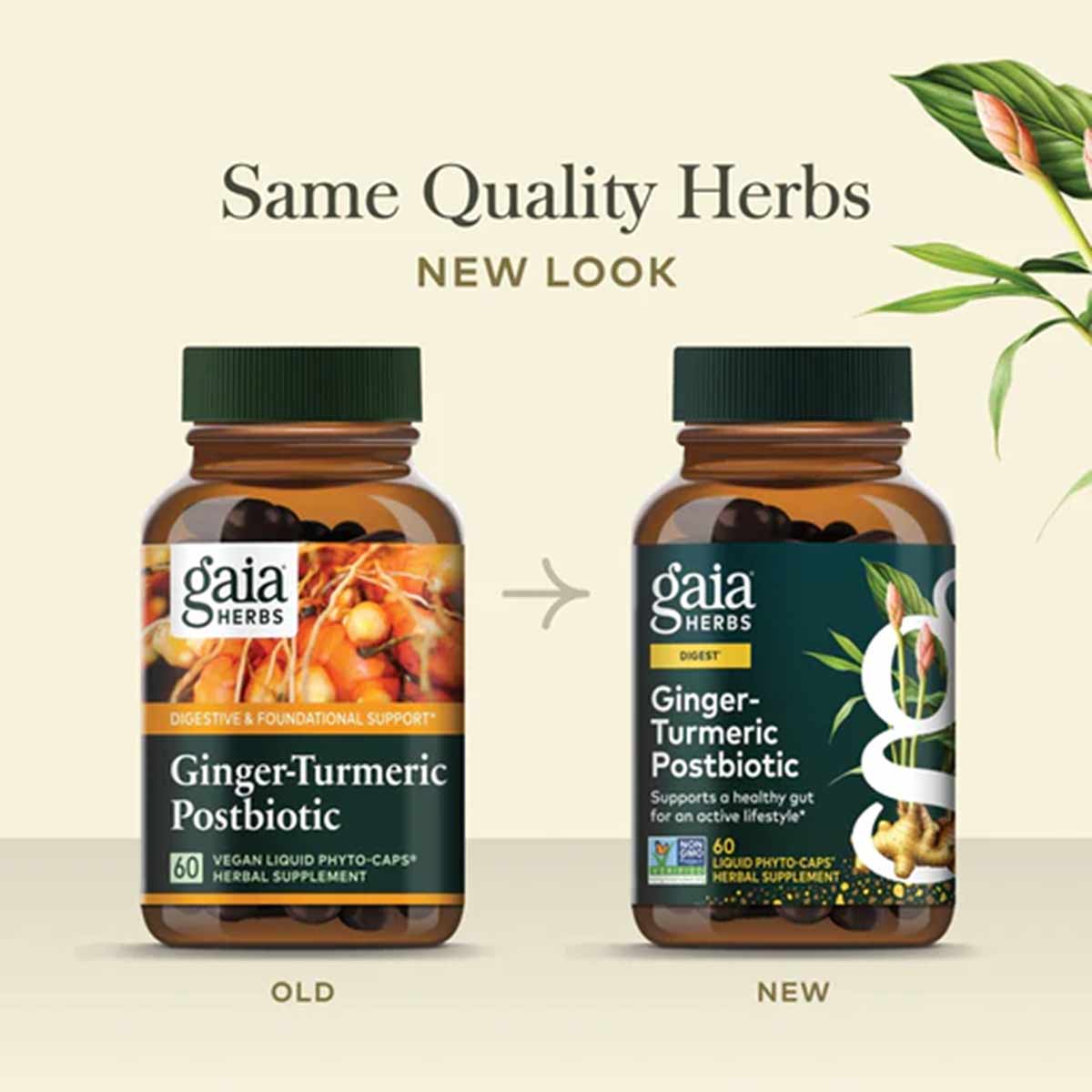 Ginger-Turmeric Postbiotic, by Gaia Herbs