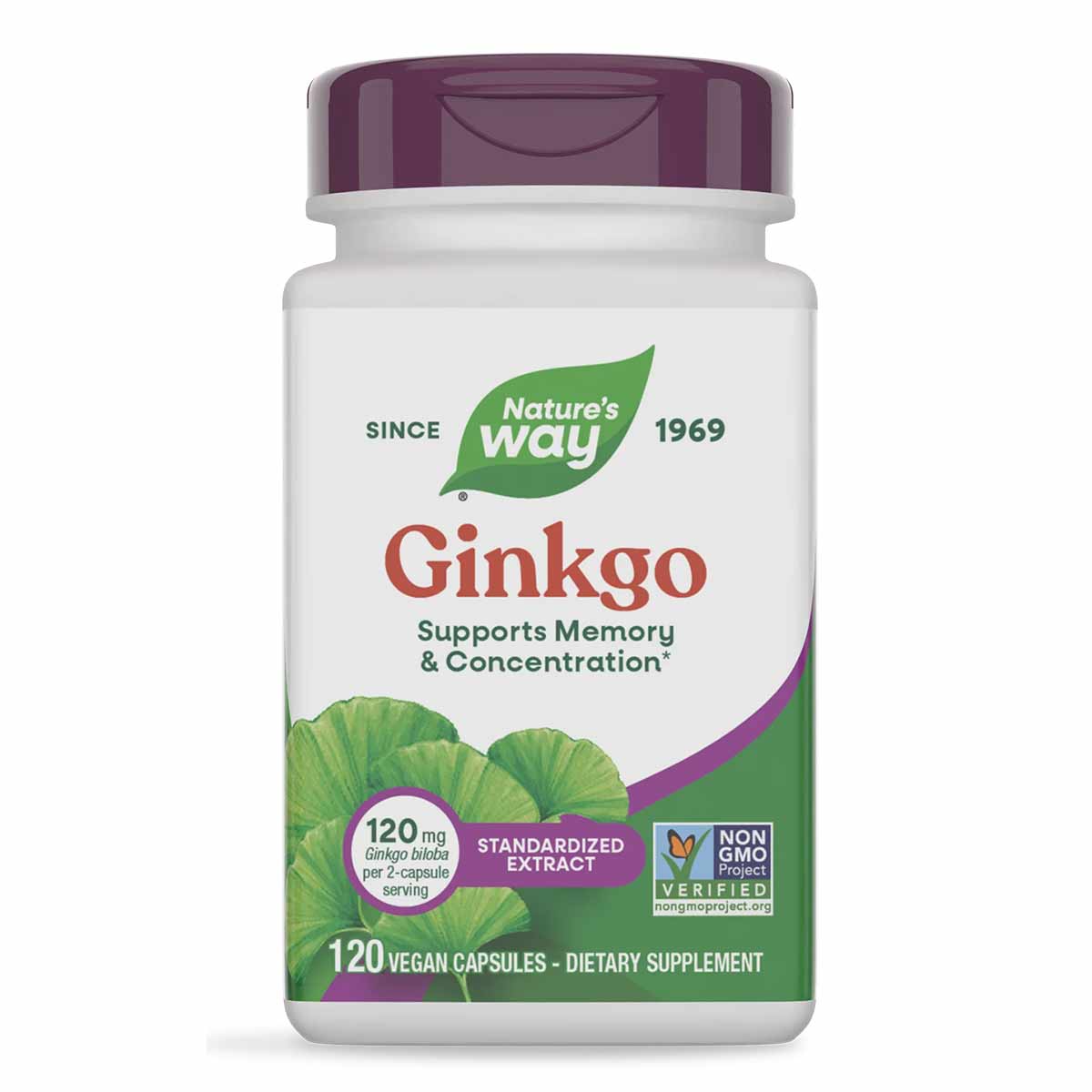 White bottle with purple cap containing Nature's Way Ginkgo supplement, 120 vegan capsules, labeled with green ginkgo leaves.