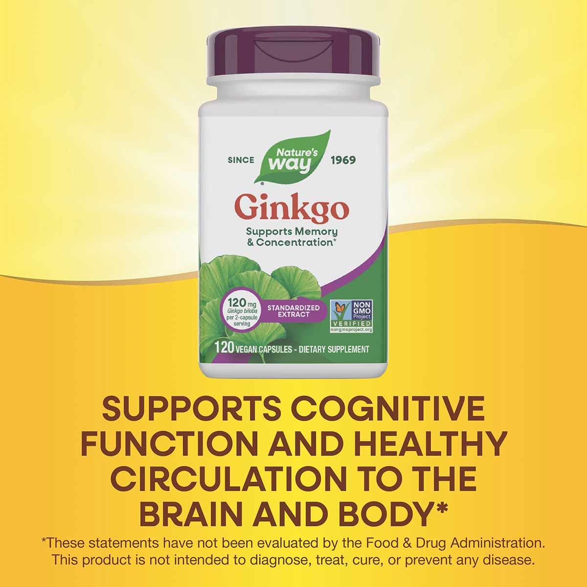 White bottle with purple cap labeled Ginkgo by Nature's Way, containing 120 vegan capsules of standardized extract.