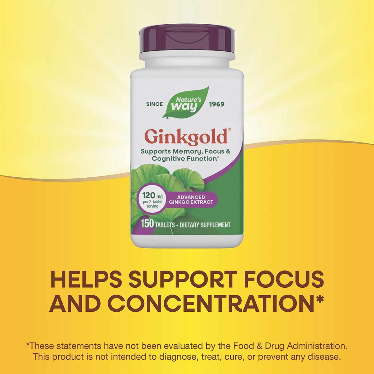 Nature's Way Ginkgold bottle with purple cap containing 150 tablets of 120mg advanced ginkgo extract dietary supplement.