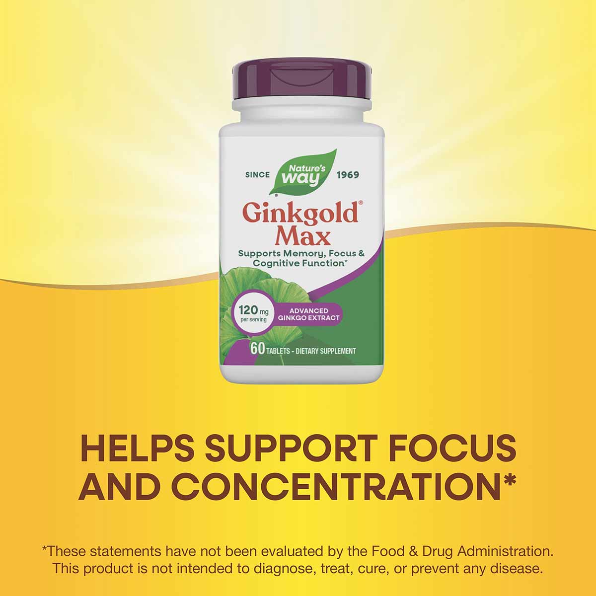 White bottle with purple cap labeled Ginkgold Max by Nature's Way, containing 60 tablets of dietary supplement with ginkgo le