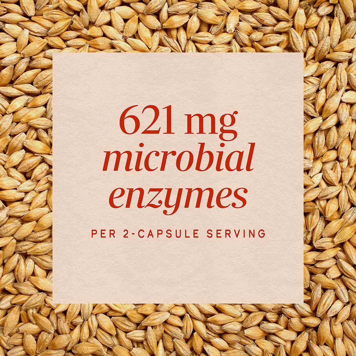 Cream-colored label showing "621 mg microbial enzymes per 2-capsule serving" in red text, displayed on a background of whole 