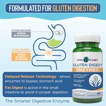 Vital Planet Gluten Digest Enzymes bottle with white cap and green label, 60 capsules, displayed next to digestive system dia
