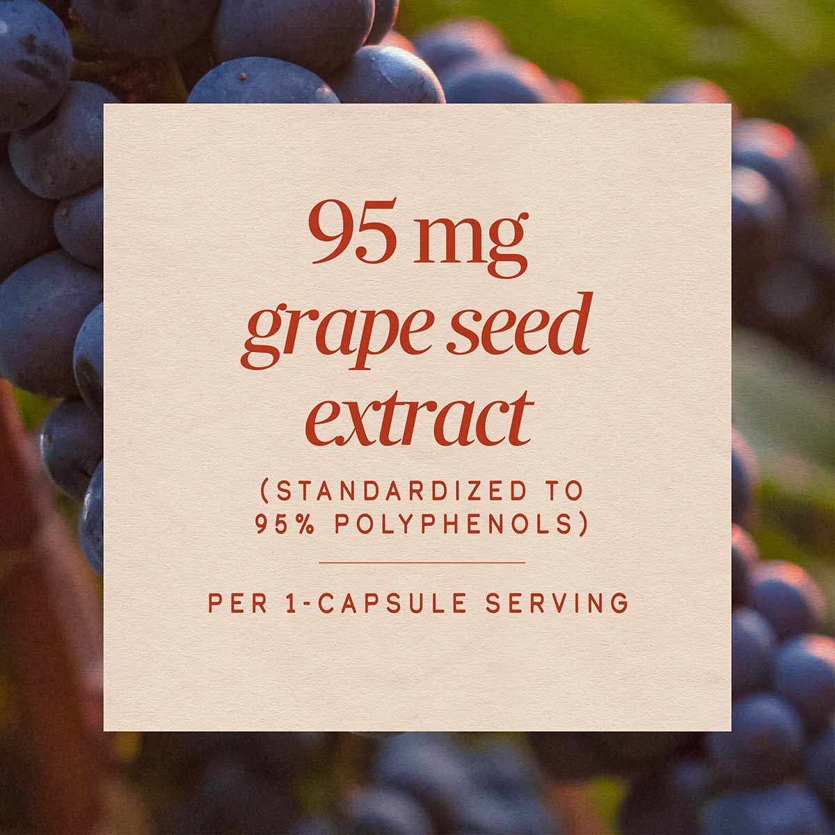 Cream-colored label with red text displaying "95 mg grape seed extract" over background of dark purple grapes.