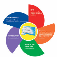 Guna-Flu, 6 Tubes, by Guna Biotherapeutics