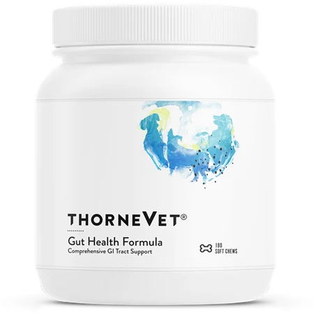 White plastic container with white ribbed lid labeled "ThorneVet Gut Health Formula Comprehensive GI Tract Support" and blue 