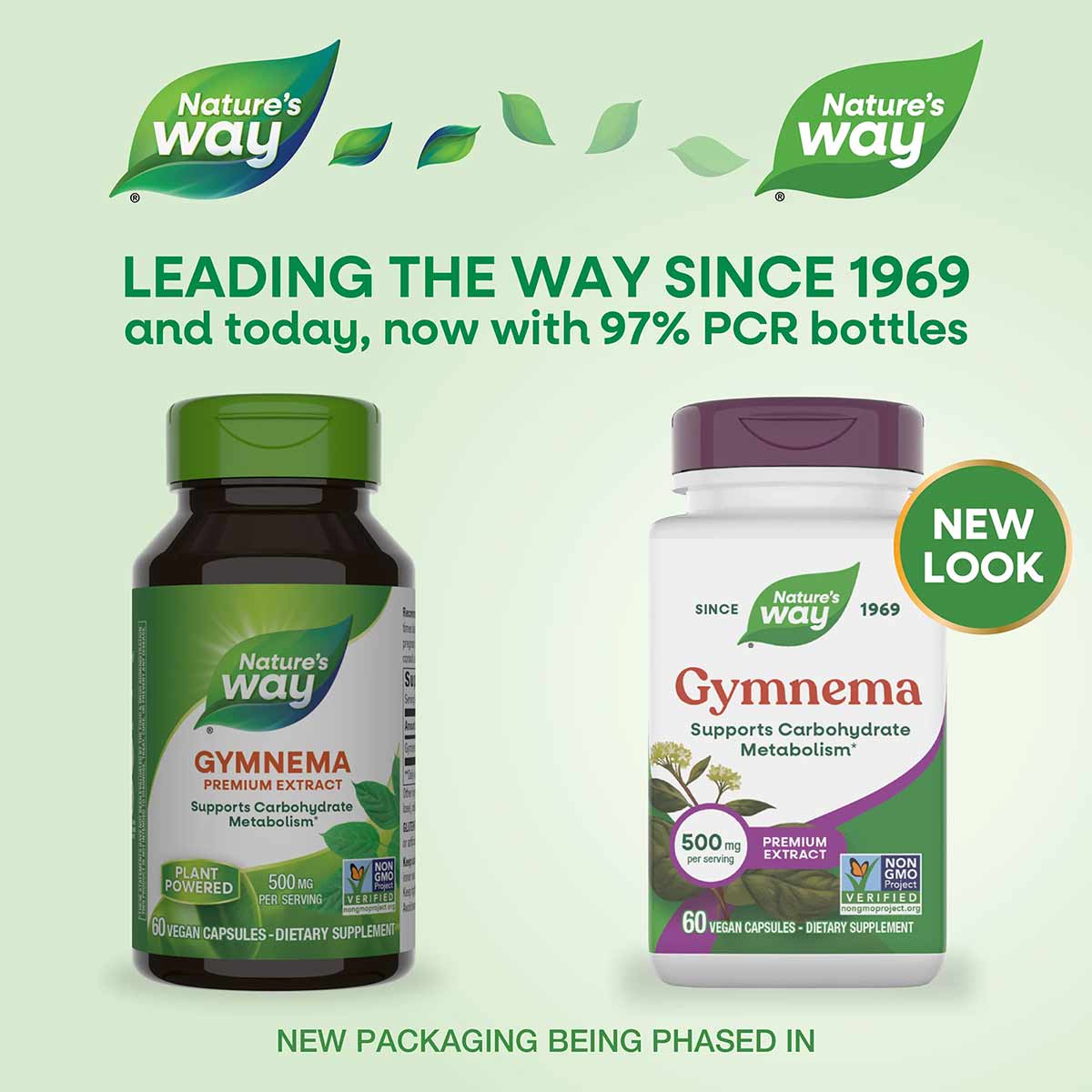 Two bottles of Nature's Way Gymnema Premium Extract dietary supplement with green and purple caps, labeled 500mg per serving,