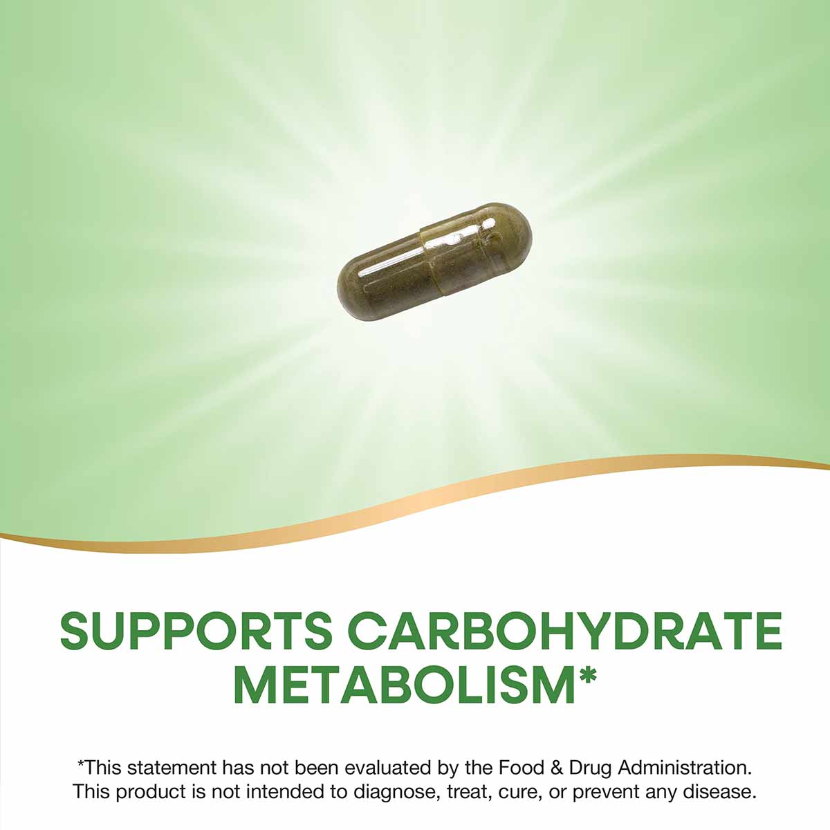 Single brown gel capsule containing Gymnema Premium Extract supplement against green gradient background.