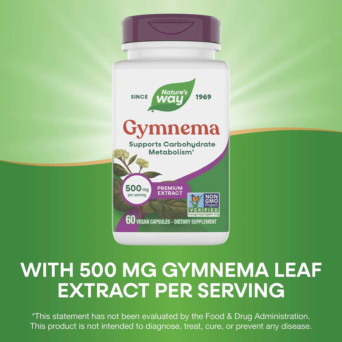 Nature's Way Gymnema Premium Extract bottle with purple cap containing 60 vegan capsules at 500 mg per serving.