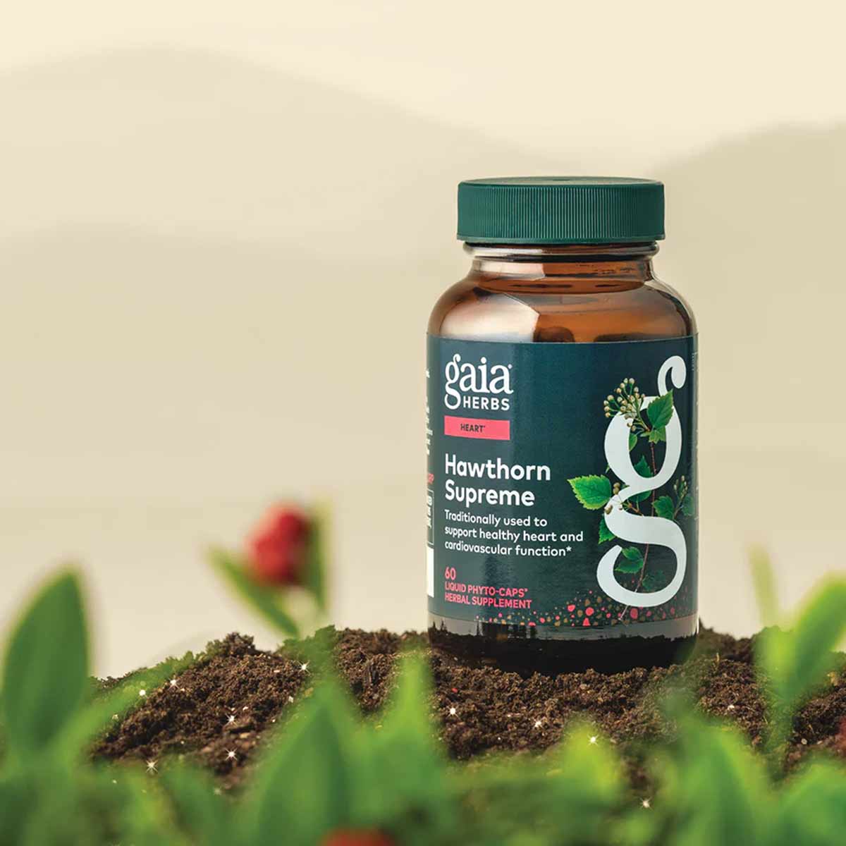 Gaia Herbs Hawthorn Supreme bottle with dark teal label and green cap, positioned in soil with hawthorn berries and leaves in