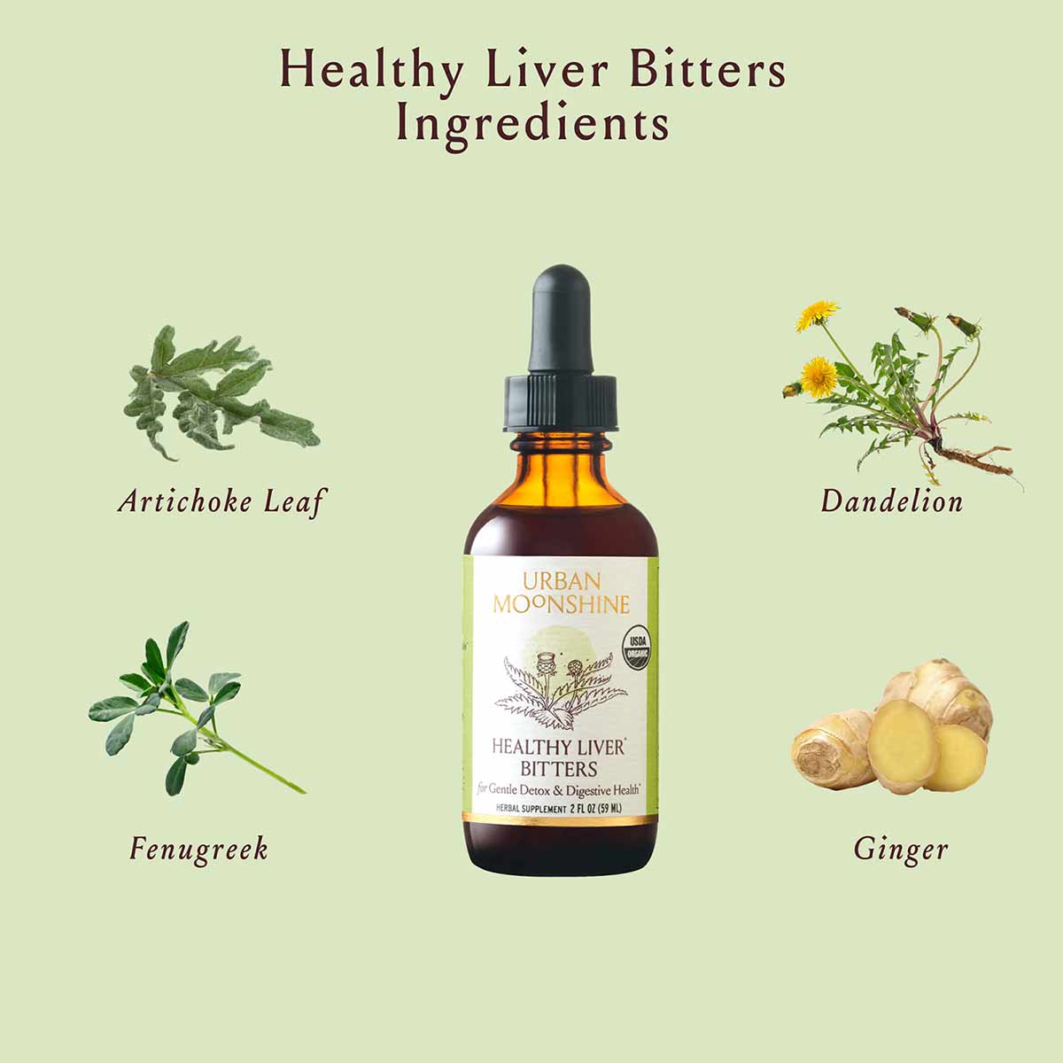 Brown glass dropper bottle of Healthy Liver Bitters surrounded by illustrations of artichoke leaf, dandelion, fenugreek, and 