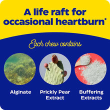 Heartburn Soothe, 90 Chews, by Enzymedica, image #5