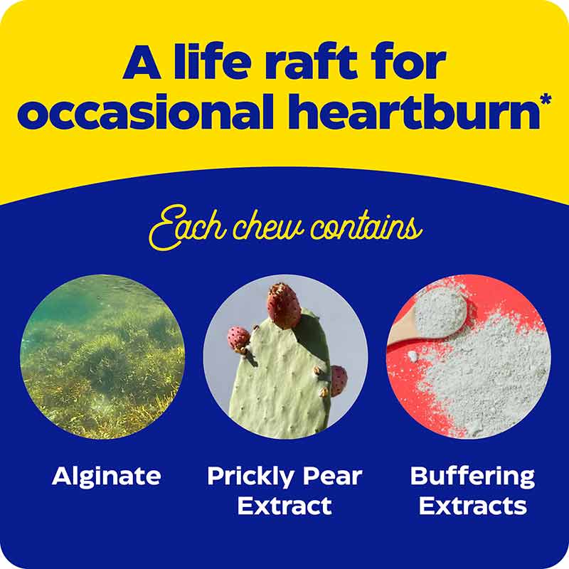 Heartburn Soothe, 90 Chews, by Enzymedica, image #5