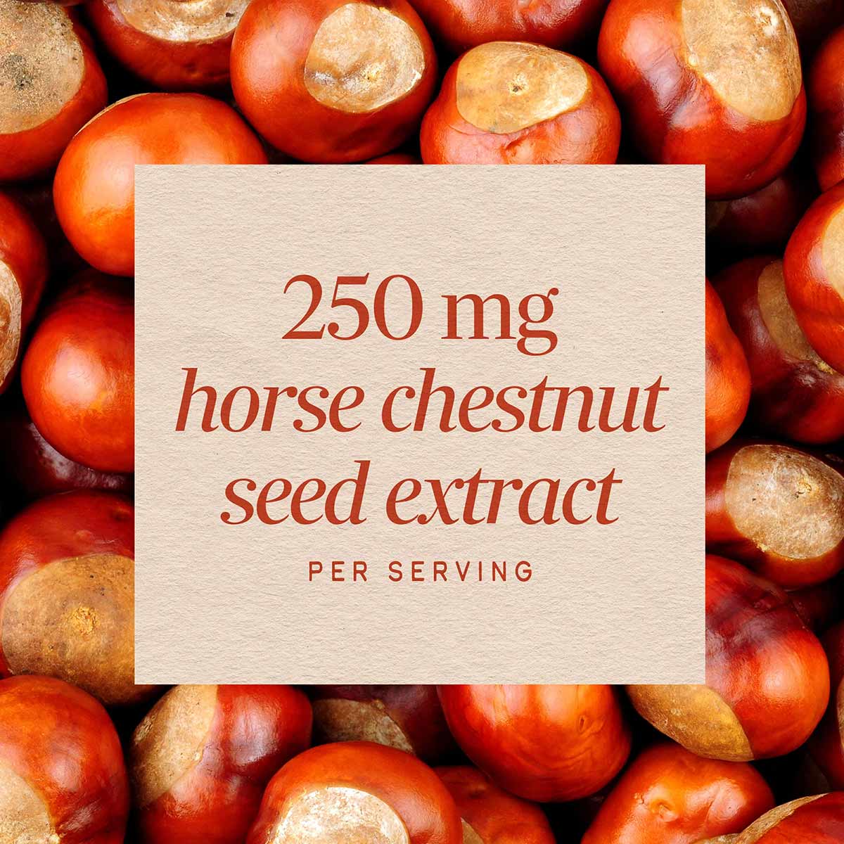 Cream-colored label displaying "250 mg horse chestnut seed extract per serving" on background of red horse chestnuts.