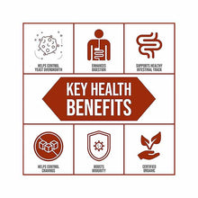 Innergy Biotic Probiotic Drink, by Body Ecology, image #3