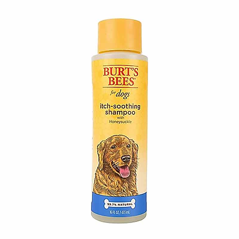 Itch Soothing Shampoo for Dogs, 16 Oz, by Burt's Bees Pets