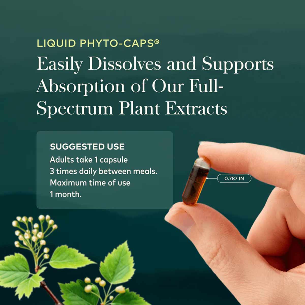 Hand holding a small amber liquid-filled capsule against a teal background with plant imagery and product information text.